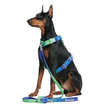 NEIGHBORHOOD DOG HARNESS グレー 616gR+71RHL._UF350,350_QL50_.jpg